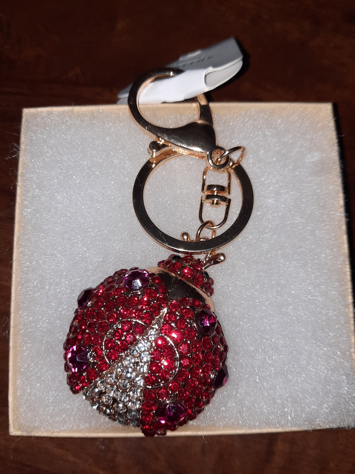 Ladybug Keychain