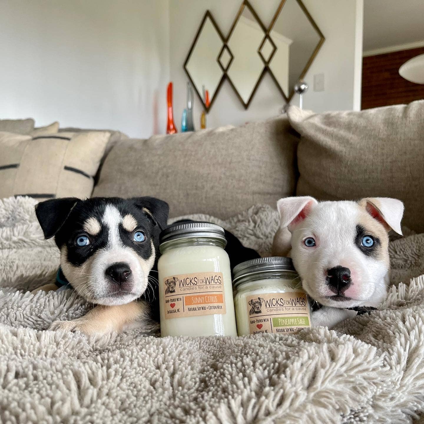 Cranberry Basil | Fall + Winter | Large Mason Jar Soy Candle