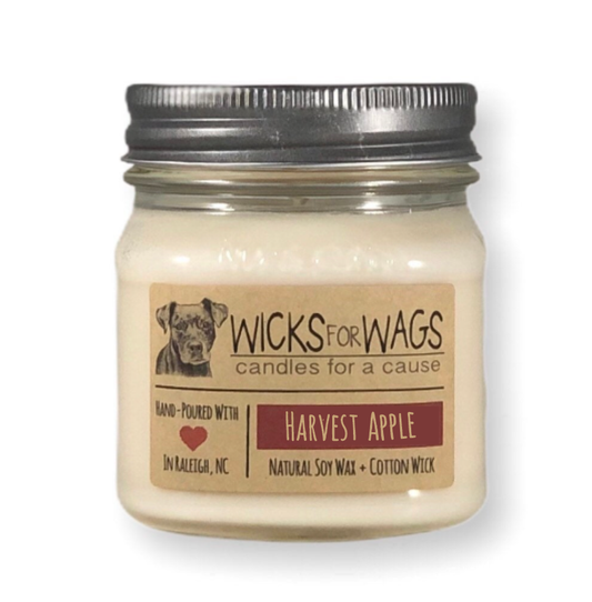 Harvest Apple | Fall + Winter | 8 oz Mason Jar Soy Candle
