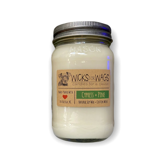 Cypress + Pine | Fall + Winter | Large Mason Jar Soy Candle