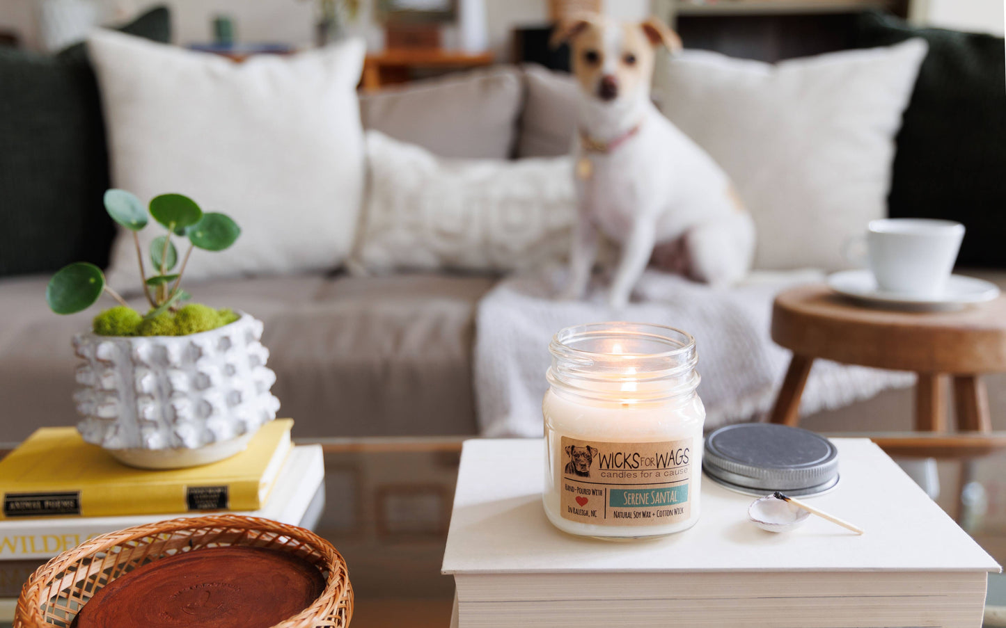 Midnight Plum | 8 oz Standard Mason Jar Soy Candle