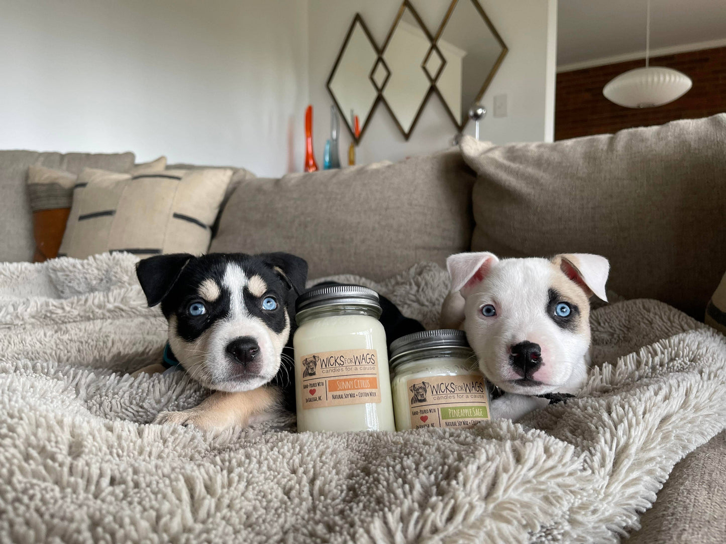 Moon Shadow | 8 oz Mason Jar Soy Candle